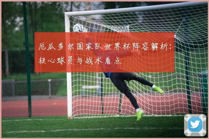 厄瓜多尔国家队世界杯阵容解析：核心球员与战术看点