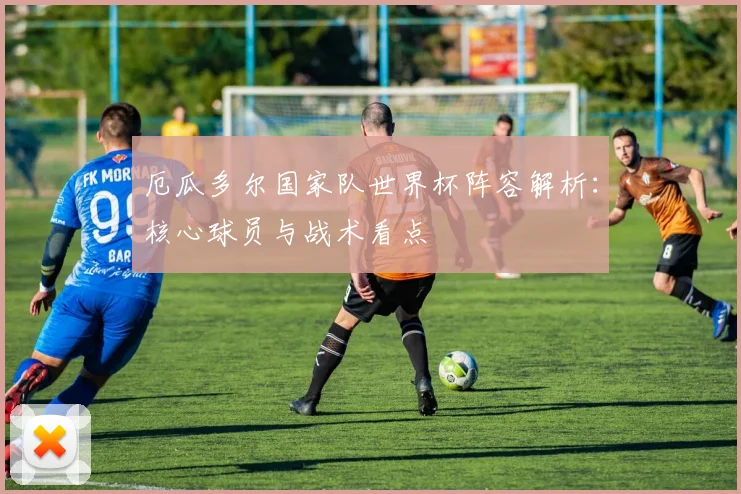 厄瓜多尔国家队世界杯阵容解析:核心球员与战术看点